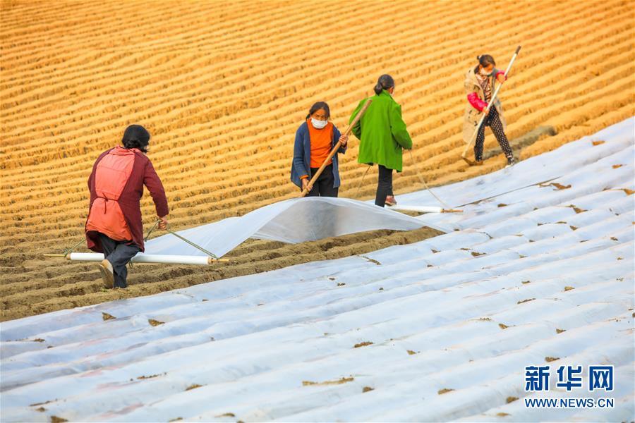 射洪县防疫检疫站最新动态报道