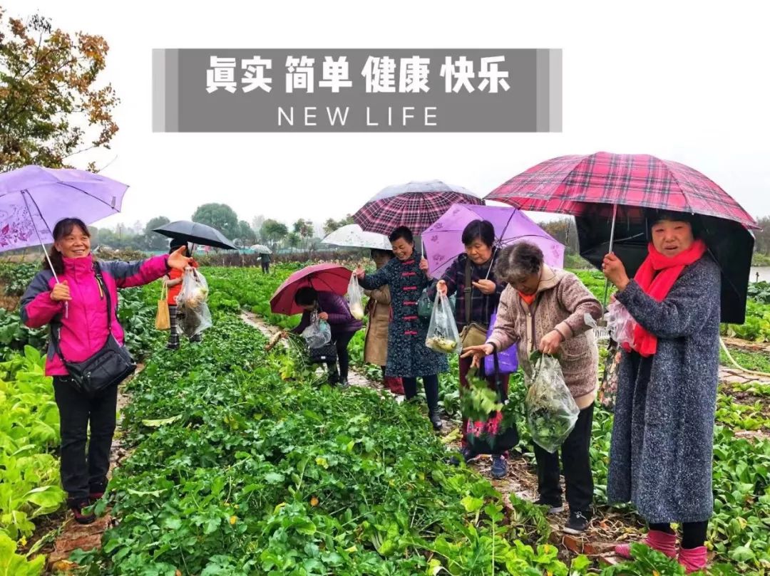 国营华山农场领导团队引领新发展之路