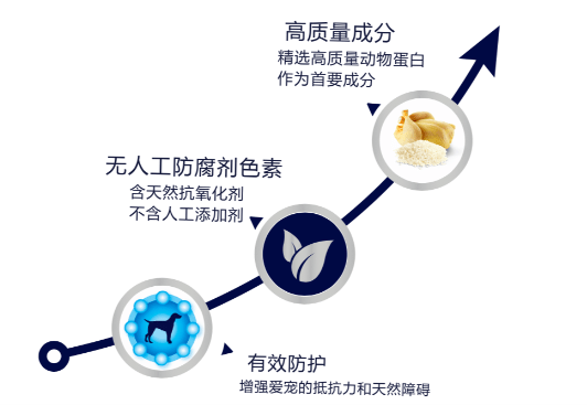 澳门王中王100期期中一期林,精细策略定义探讨_Advanced27.359