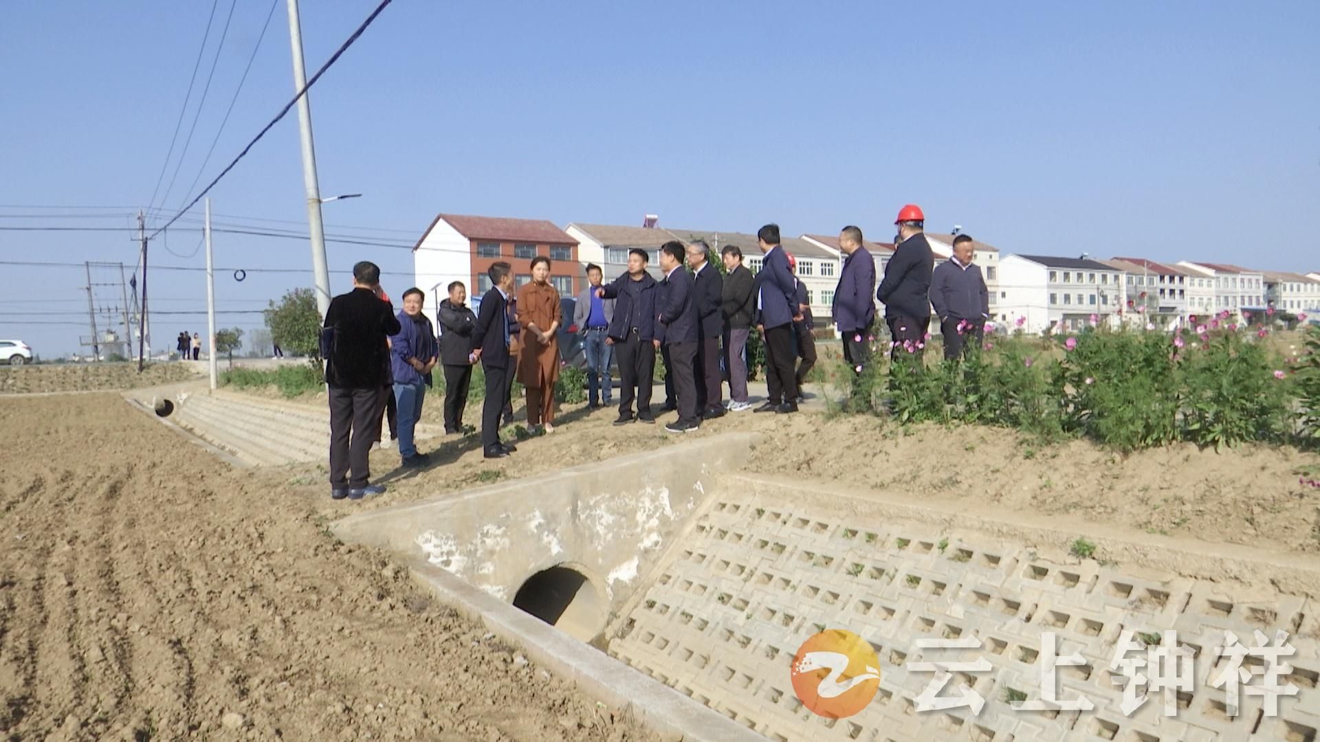 钟祥市农业农村局新项目推动农业现代化助力乡村振兴