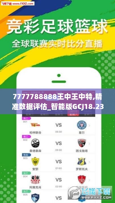 7777788888王中王中王特色功能,创新设计执行_BT17.250