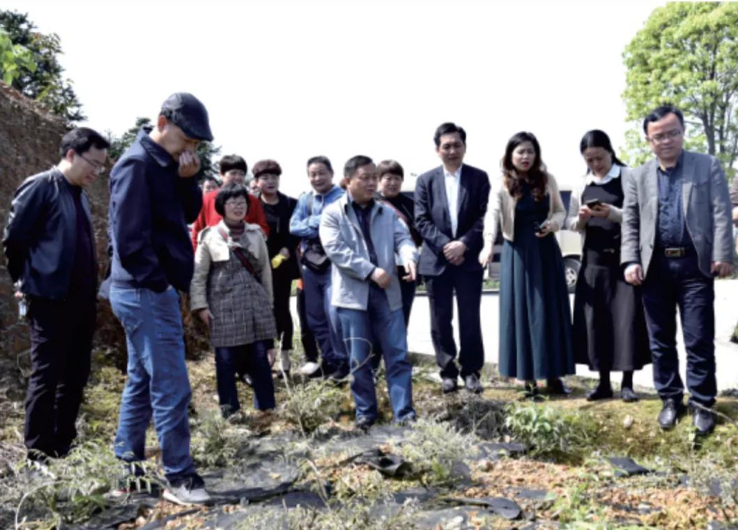 新晃侗族自治县住房和城乡建设局最新项目概览及进展