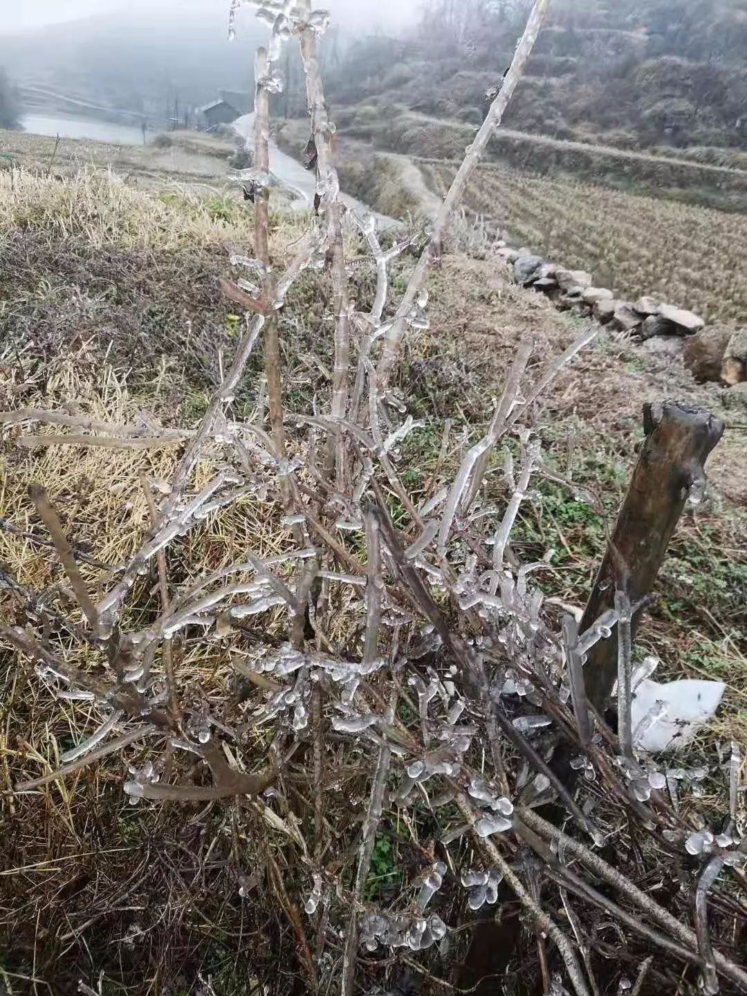 雅酉镇最新项目，地区发展的强大引擎领航者