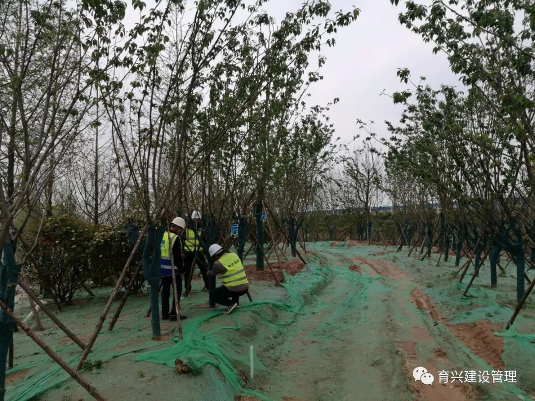 新乡园林管理局启动重塑城市绿色生态最新项目