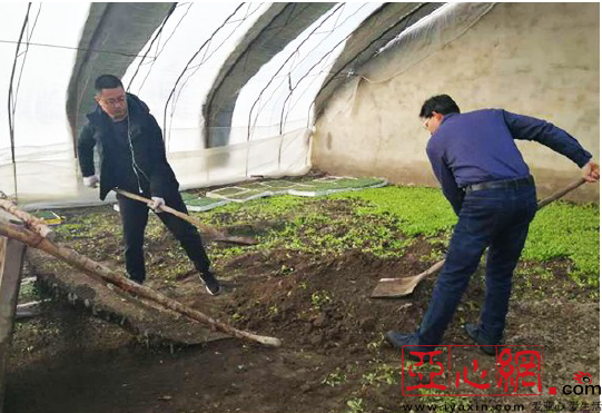 塔城地区市规划管理局最新发展规划概览