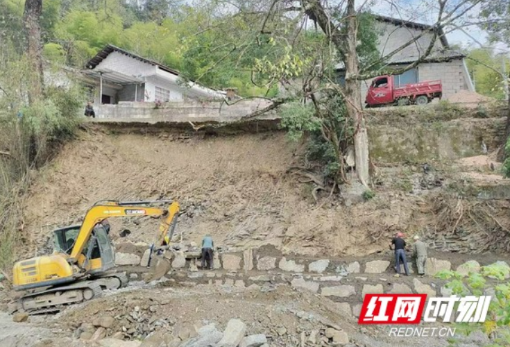 大岩村新项目，乡村振兴的新动力