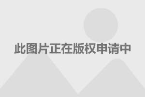 乍浦路街道最新招聘信息全面解析