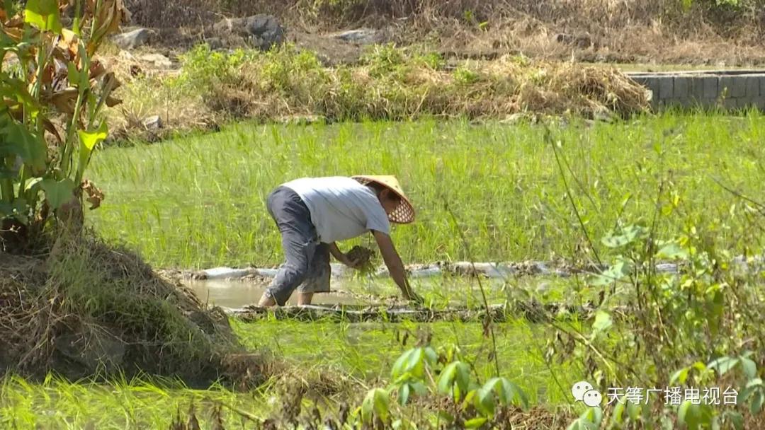 宁干乡最新发展动态与社会变迁报道速递