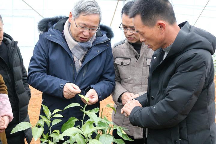 平昌县自然资源和规划局最新项目概览与动态