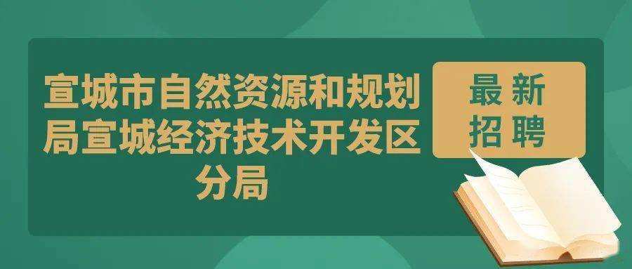 2024年12月29日 第19页