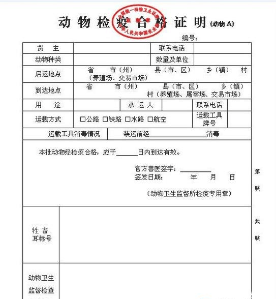 东阳市防疫检疫站人事任命动态解析