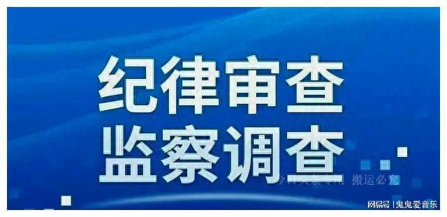 常山县统计局领导团队引领未来，铸就辉煌新篇章