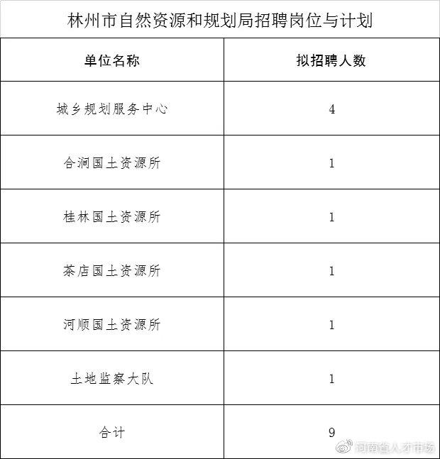 林州市人民政府办公室最新招聘概览，职位、要求及申请指南