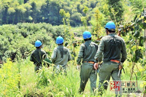 东阳街道天气预报更新通知