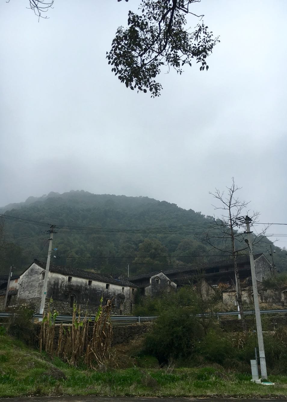 院岭街道天气预报更新通知