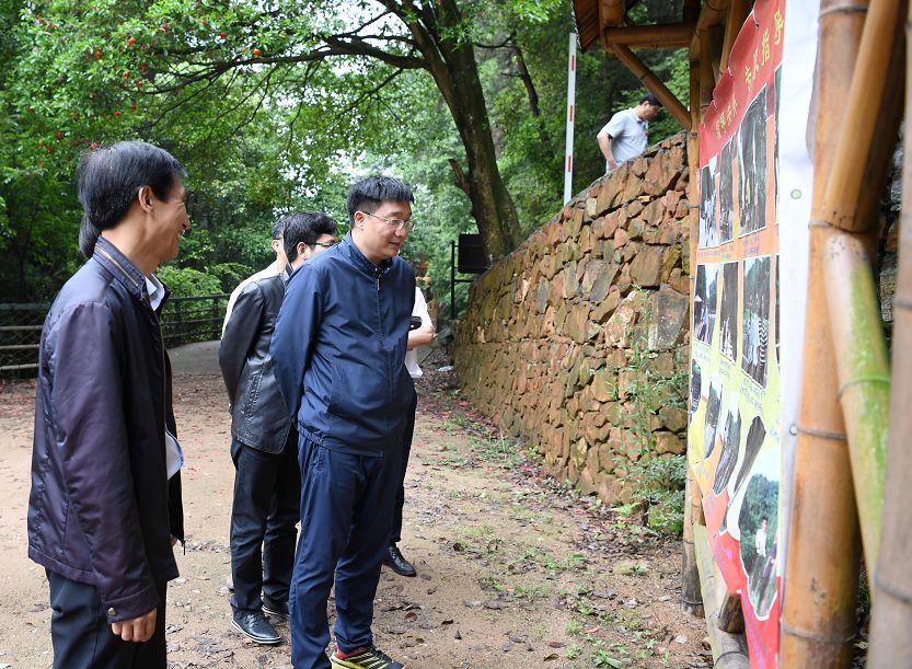 砂石村，最新发展动态与社区新貌报道