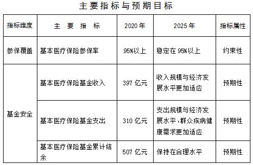 灵寿县医疗保障局发展规划展望